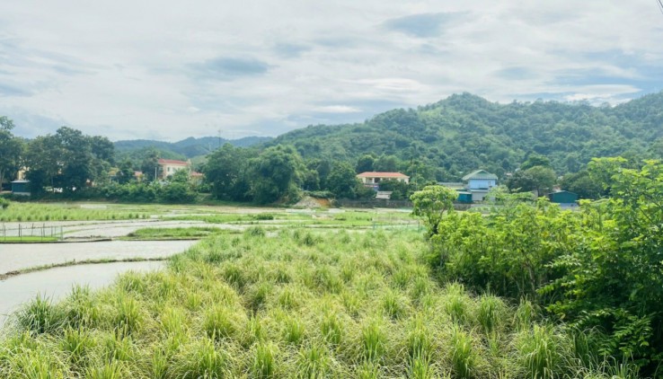 Bán đất thành phố Hòa Bình  Hòa Bình