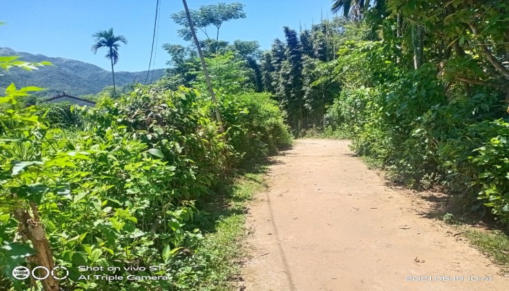 Chính chủ nhờ bán mảnh đất rộng 700m vuông trong đó có 200m đất ở