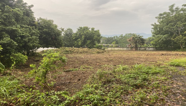 Chính chủ bán 1009m đất thổ cư nghỉ dưỡng View cánh đồng tại Lương Sơn, Hòa Bình.