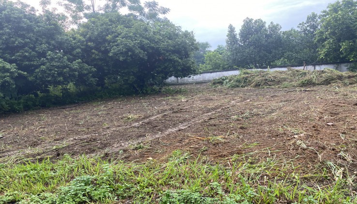 Chính chủ bán 1009m đất thổ cư nghỉ dưỡng View cánh đồng tại Lương Sơn, Hòa Bình.