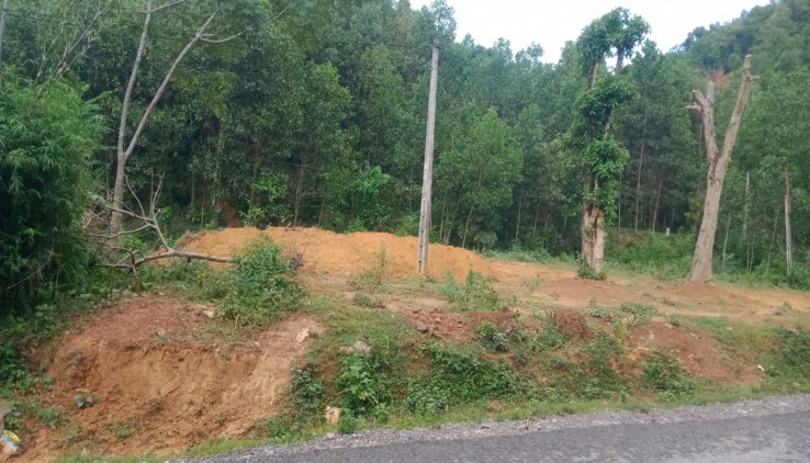 Bán đất bám đường nhựa tại Kim Bôi dt 800m có thổ cư và đất vườn giá rẻ