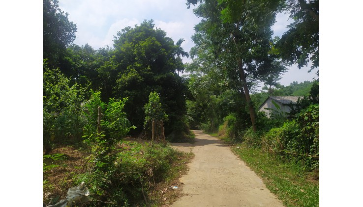 Cần chuyển nhượng 5000m2 đất có sẵn nhà cấp 4 xã Yên Mông, Thành phố Hoà Bình