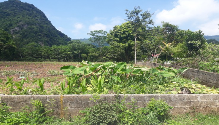 Bán đất Lương Sơn 1000m có 600 ont giá vài trăm triệu