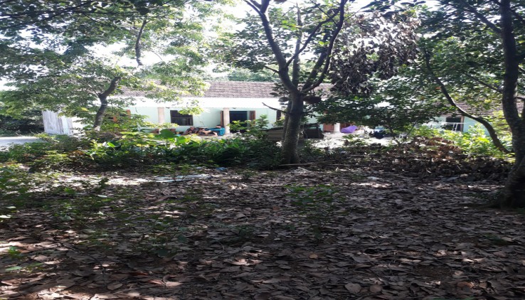 Bán đất nhiều thổ cư và có sẵn nhà cấp 4 vườn cây ăn quả tại Lương Sơn