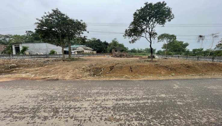 Bán 1000m2 đất thổ cư bám mặt đường nhựa nhuận trạch Lương Sơn