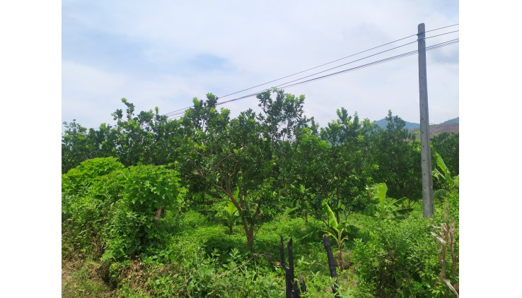 Gia đình cần bán 1069m2 đất mặt đường QL70B xã Yên Mông Thành Phố Hoà Bình hướng đi Phú Thọ ..
