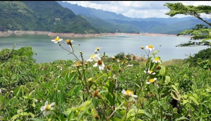 Cần bán mảnh đất view hồ có sẵn homestay tại Đà Bắc