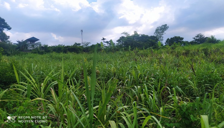 - Diện tích 2000m2 full đất vườn tại Xuân Phong Cao Phong Hòa Bình