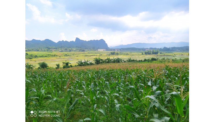 Chính chủ cần bán lô đất diện tích 3000m2 view cánh đồng tại Đông Phong Cao Phong Hòa Bình.