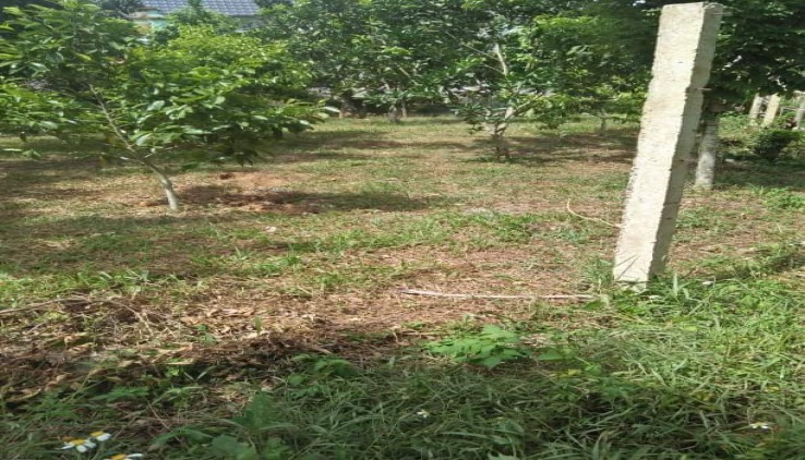 Cần Chuyển nhượng Đất mặt đường Bê-tông xã Nam Phong Cao Phong giá mềm