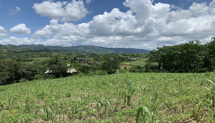 BÁN ĐẤT CAO PHONG 4344M VUÔNG NHƯ BÁNH TRƯNG, VIEW CAO THOÁNG CHỈ HƠN TỶ XÍU