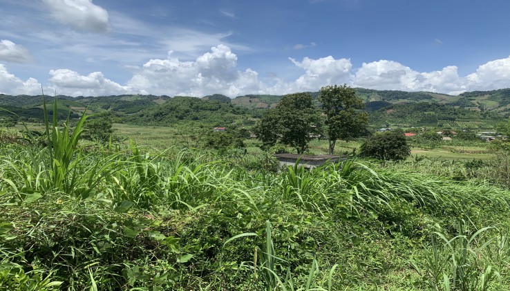 BÁN ĐẤT CAO PHONG 4344M VUÔNG NHƯ BÁNH TRƯNG, VIEW CAO THOÁNG CHỈ HƠN TỶ XÍU