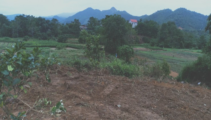 Bán 1862m đất thổ cư nhà vườn tại Yên Bình-Thạch Thất-Hà Nội.