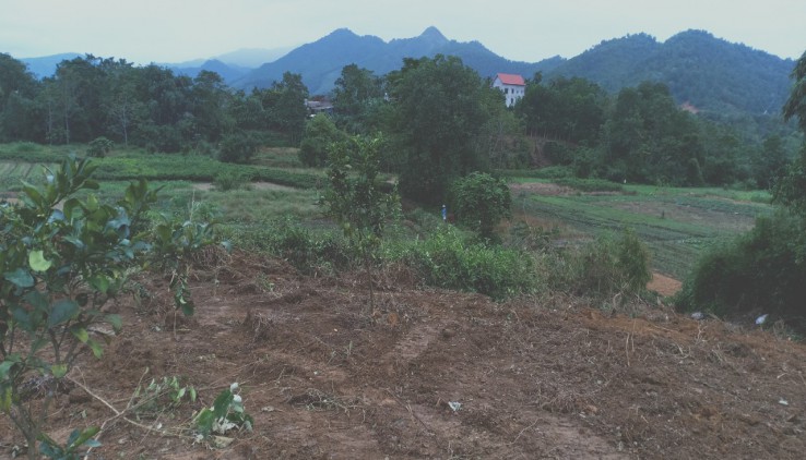 Bán 1862m đất thổ cư nhà vườn tại Yên Bình-Thạch Thất-Hà Nội,