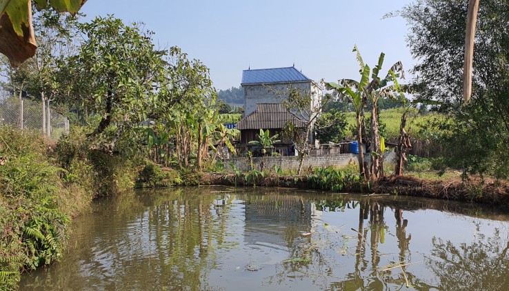 Bán đất nghỉ dưỡng tại Nam Phong - Cao Phong view cánh đồng cực đẹp