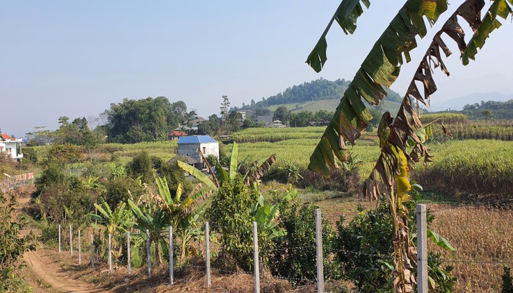 Bán đất nghỉ dưỡng tại Nam Phong - Cao Phong view cánh đồng cực đẹp