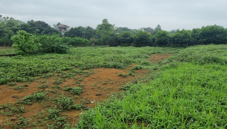 Bán Đất 1160m Có 100 ONT 42m mặt đường, Nhuận Trạch Lương Sơn!