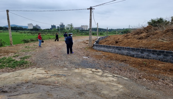 Bán đất Nhuận Trạch, Lương Sơn, Hòa Bình diện tích 1440m 2 mặt tiền View cánh đồng giá đầu tư.