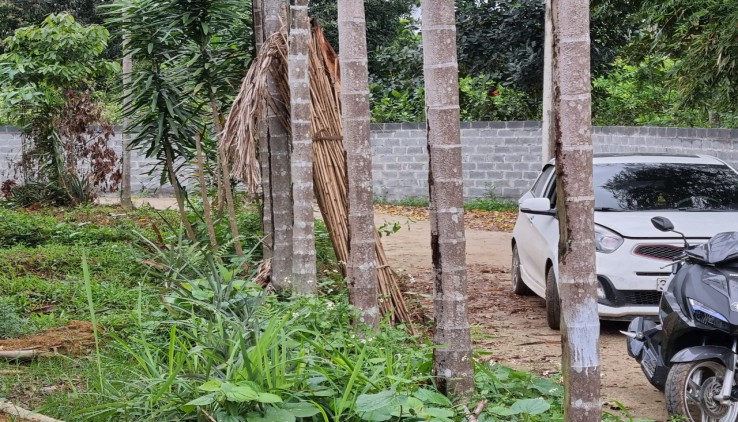 Bán 2000m đất thổ cư nhà vườn tại Nhuận Trạch, Lương Sơn, Hòa Bình View đồng giá đầu tư.