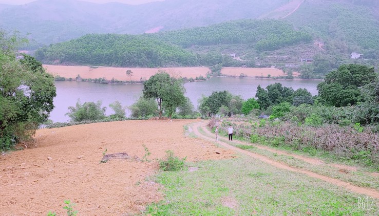 Cần chuyển nhượng 3,6 ha đất bám hồ Suối ong tại Lương Sơn Hòa Bình bám hồ 220m..