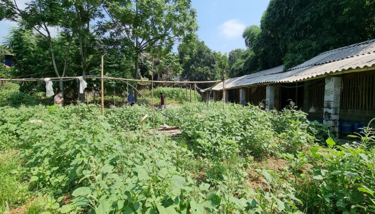 Bán đất nghỉ dưỡng bàm hồ 2000m giá đầu tư mùa covid tại Chương Mỹ, Hà Nội