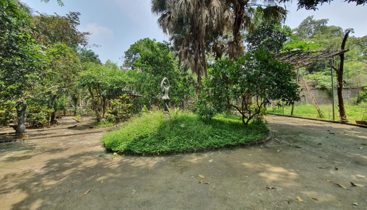 “Bán đất tặng biệt thự”, Sang tên chuyển nhượng ngay khuôn viên biệt thự 1700m2 taị Vân Hòa, Ba Vì- Hà Nội.