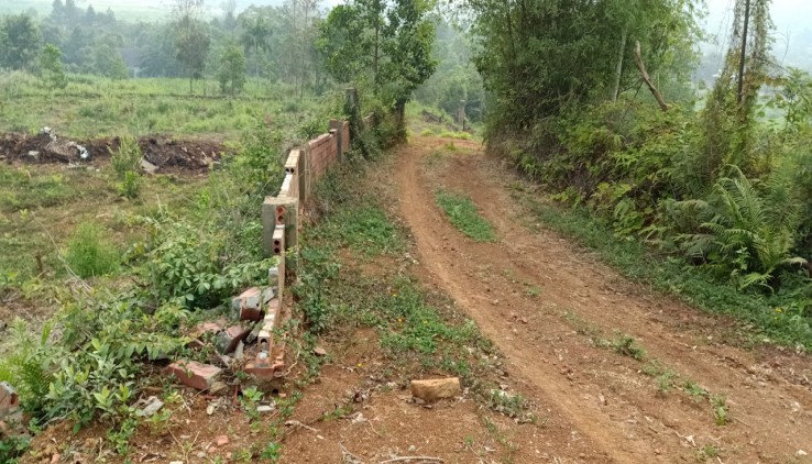 Cần chuyển nhượng 1550 m đât thổ cư nghỉ dưỡng tại Yên Bài - Ba Vì - Hà Nội.