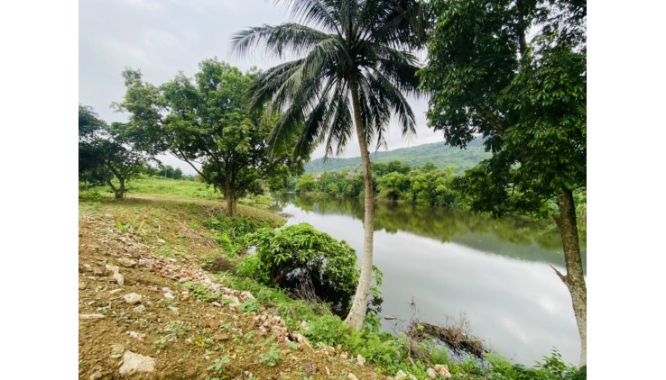 BẠN HÃY SỞ HỮU NGAY KHUÔN VIÊN NGHI DƯƠNG ĐỂ TRÁNH DỊCH