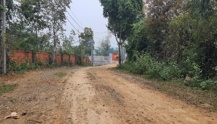 Bán đất ba vì giá rẻ view thoáng cực đẹp,cách hà nội 50km!