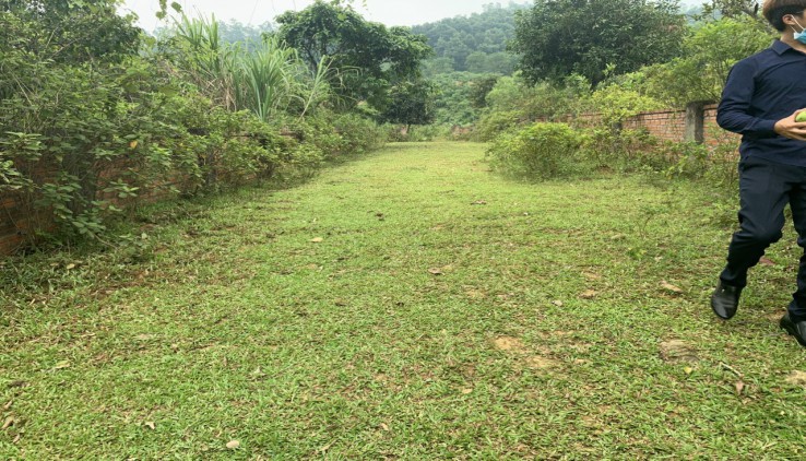 Bán đất ba vì giá rẻ view thoáng cực đẹp,cách hà nội 50km!