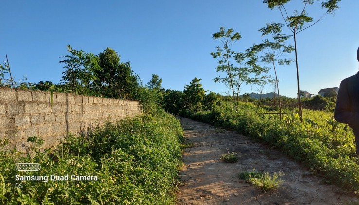 Bán đất Cao Phong 3000m full đất vườn view đẹp