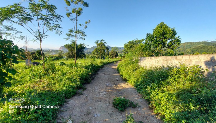 Bán đất Cao Phong 3000m2 toàn bộ là đất vườn, thế đất bằng phẳng view thoáng. Giá đầu tư.