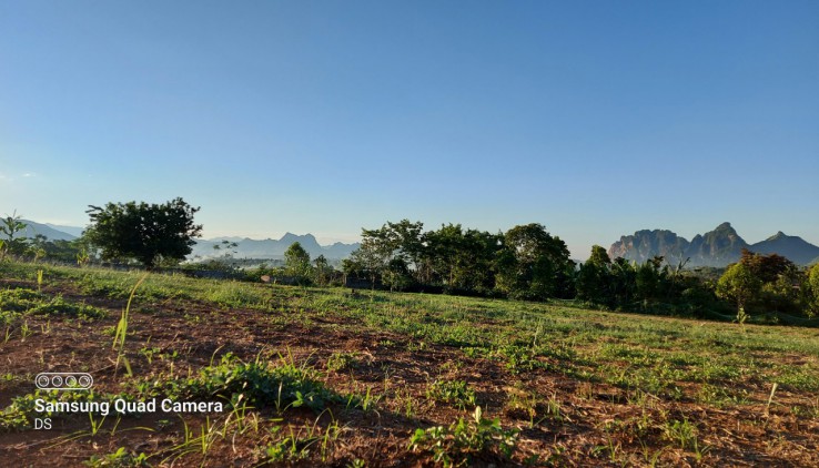 Bán đất Cao Phong 3000m2 toàn bộ là đất vườn, thế đất bằng phẳng view thoáng. Giá đầu tư.