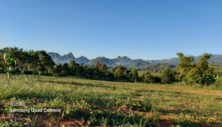 Bán đất Cao Phong 3000m2 toàn bộ là đất vườn, thế đất bằng phẳng view thoáng. Giá đầu tư.