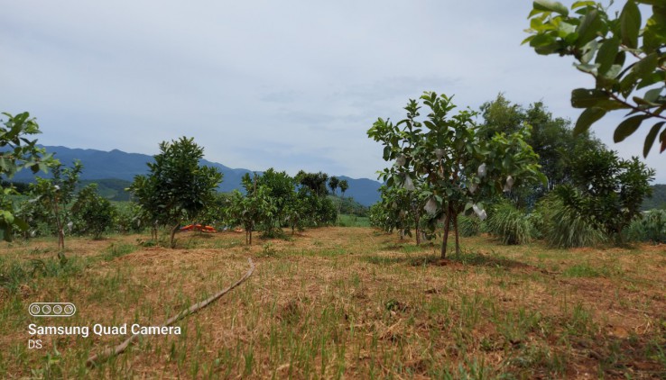 Bán đất Tân Lạc 5100m có 400m đất ở bằng phẳng view thoáng