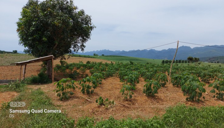 Bán đất Tân Lạc 5100m có 400m đất ở bằng phẳng view thoáng