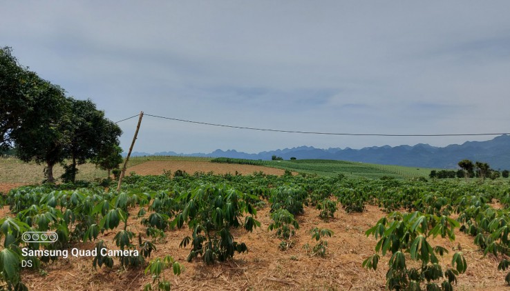 Bán gấp 5100m thổ cư tại MỸ HÒA-TÂN LẠC thích hợp làm nhà vườn, homestay, farmstay, đầu tư...