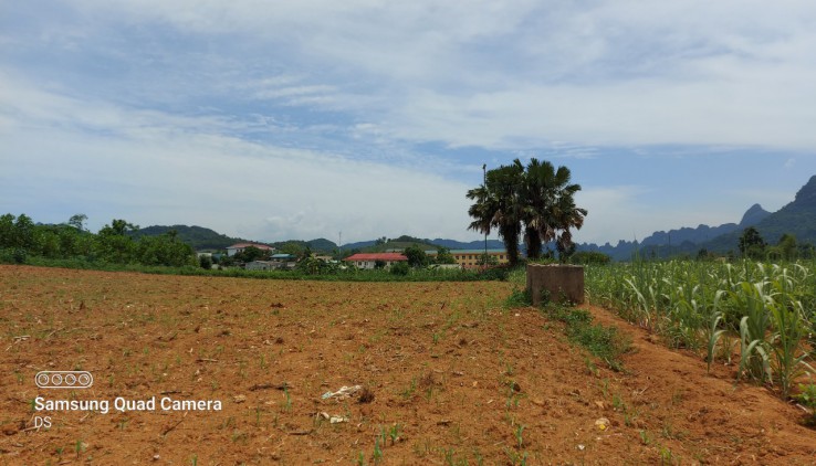 Bán gấp 5100m thổ cư tại MỸ HÒA-TÂN LẠC thích hợp làm nhà vườn, homestay, farmstay, đầu tư...