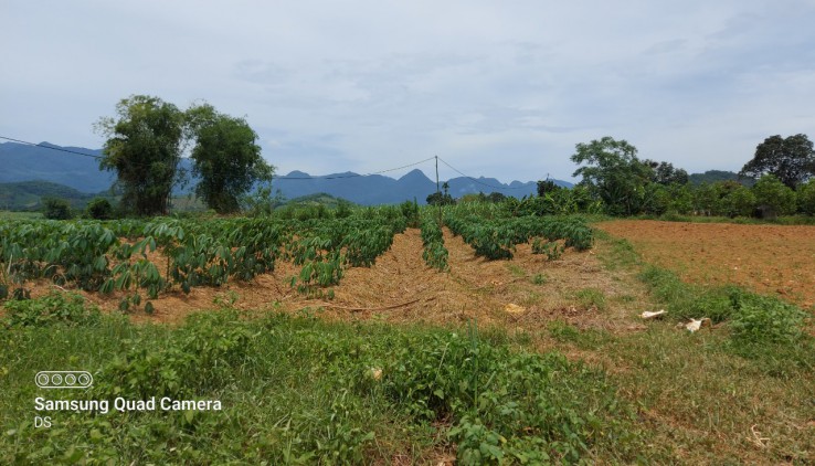 Bán đất Tân Lạc 5100m có 400m đất ở bằng phẳng view thoáng