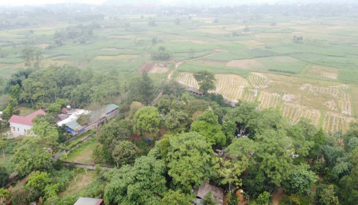 Bán đất xã Vân Hòa Ba vì Hà Nội diện tich rộng 4460 m2 có 400 m2 đất thổ cư.