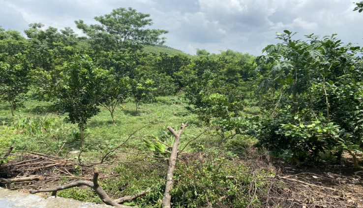 Bán đất view sông Bôi cực nên thơ hữu tình, đất Kim Bôi chắc chắn không có mảnh rẻ hơn