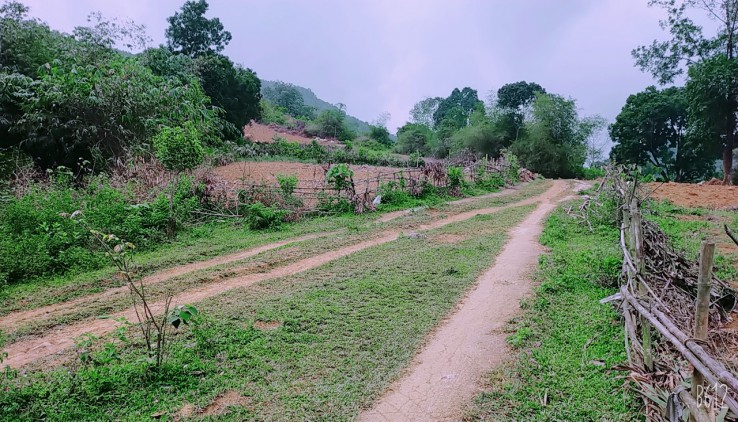 Cần chuyển nhượng 3,6 ha đất bám hồ Suối ong tại Lương Sơn Hòa Bình bám hồ 220m..