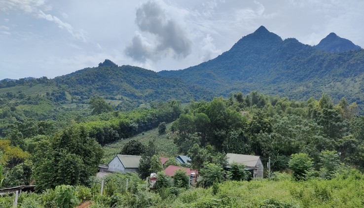 CHính chủ gửi bán đất BA Vì Hà Nội dt 9232m đất thổ cư nghỉ dưỡng vew cao thoáng cánh đồng thoáng mát.