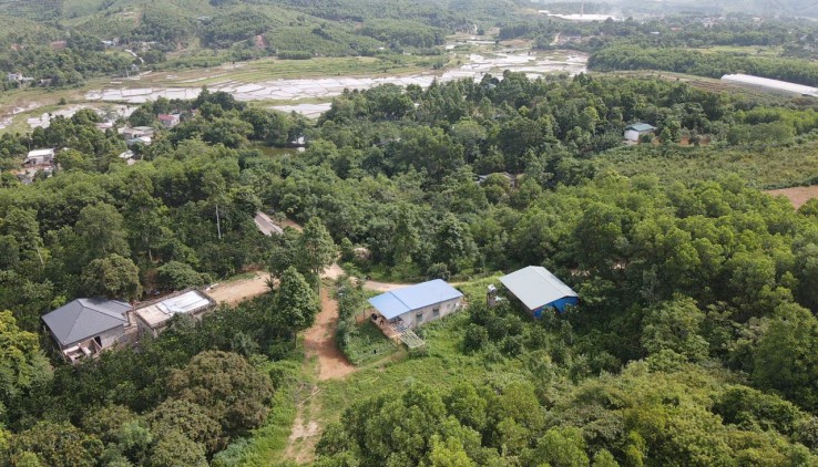 Bán gấp 825m2 đất thổ cư Hợp Hòa, Lương Sơn, Hòa Bình.
