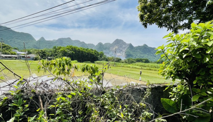 SIÊU PHẨM 2 MẶT TIỀN 2540M TRUNG SƠN, LƯƠNG SƠN ,HÒA BÌNH VIEW CÁNH ĐỒNG THOÁNG MÁT.