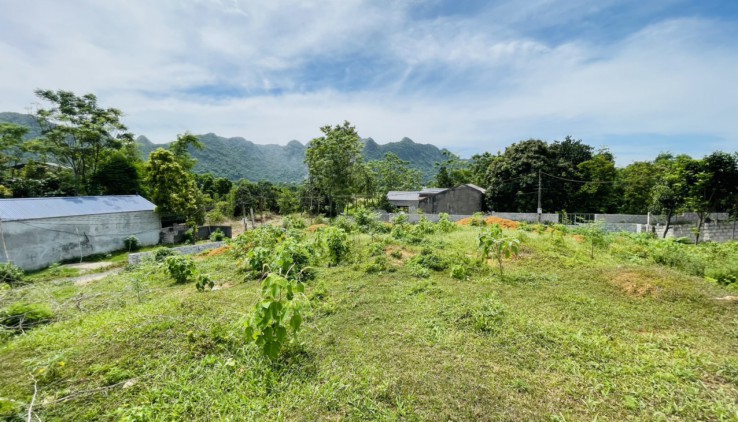 SIÊU PHẨM 2 MẶT TIỀN 2540M TRUNG SƠN, LƯƠNG SƠN ,HÒA BÌNH VIEW CÁNH ĐỒNG THOÁNG MÁT.