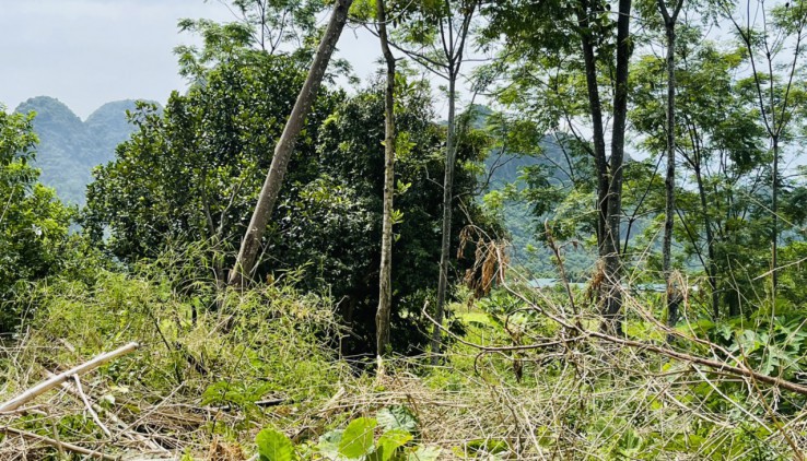 SIÊU PHẨM 2 MẶT TIỀN 2540M TRUNG SƠN, LƯƠNG SƠN ,HÒA BÌNH VIEW CÁNH ĐỒNG THOÁNG MÁT.