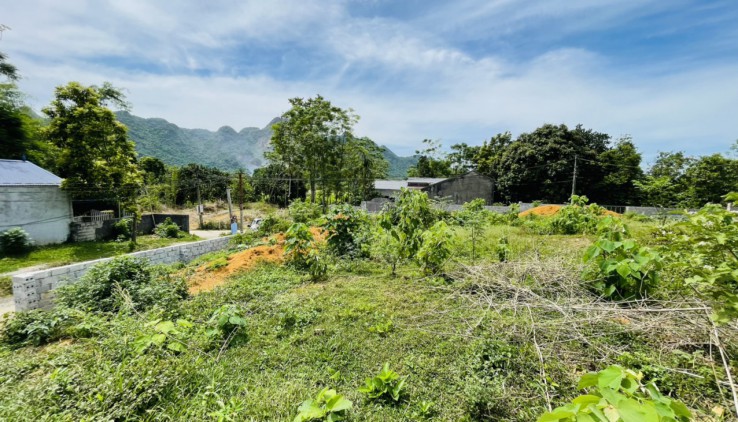 SIÊU PHẨM 2 MẶT TIỀN 2540M TRUNG SƠN, LƯƠNG SƠN ,HÒA BÌNH VIEW CÁNH ĐỒNG THOÁNG MÁT.