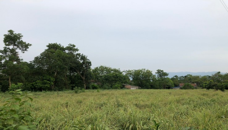Bán đất Hòa Sơn Lương Sơn còn xót lại giá rẻ nhất khu vực 1952m2 thổ gần khu Nghỉ Dưỡng giá 1,5tr/m