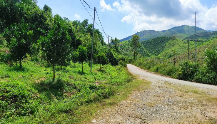 Bán nhanh e 8000m RSX Cao Phong Giá rẻ view cánh đồng